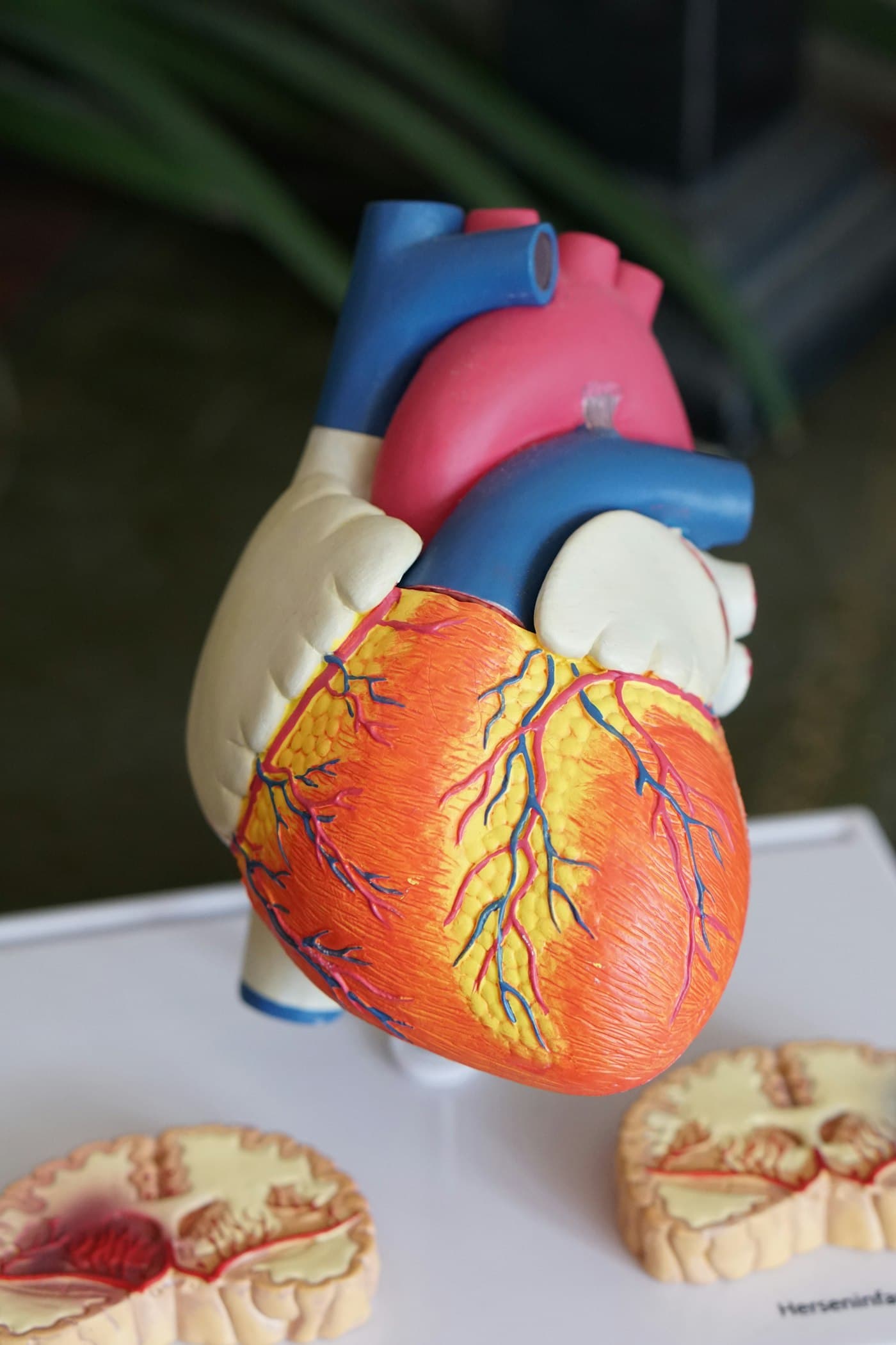 Provette di laboratorio per esami clinici